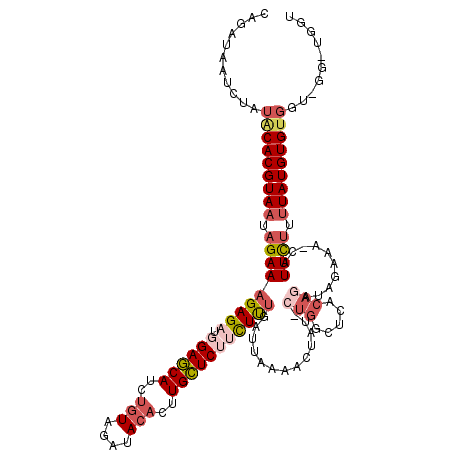 secondary structure