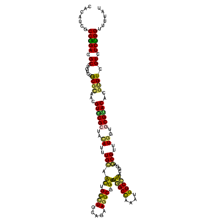 secondary structure