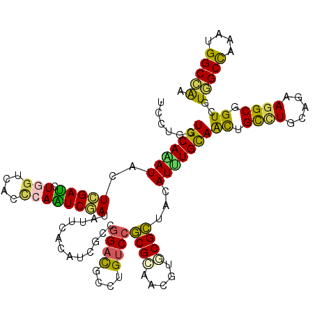 secondary structure
