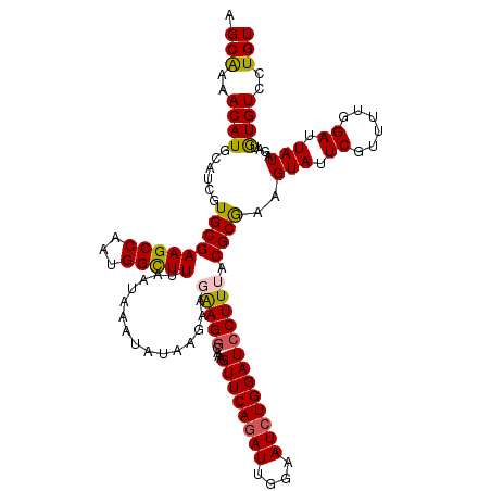 secondary structure