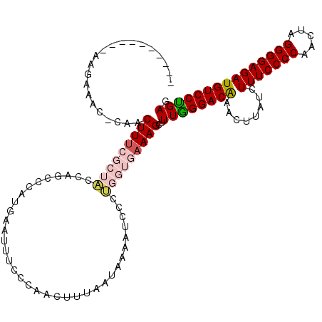 secondary structure