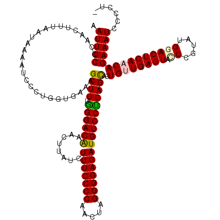 secondary structure