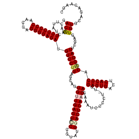 secondary structure