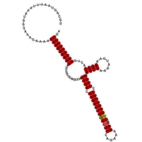 secondary structure