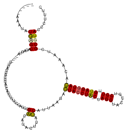 secondary structure