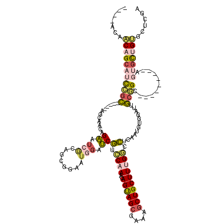 secondary structure