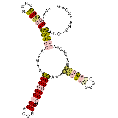 secondary structure