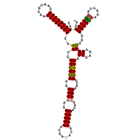 secondary structure