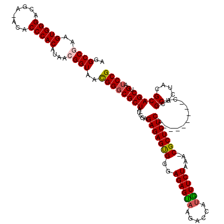 secondary structure