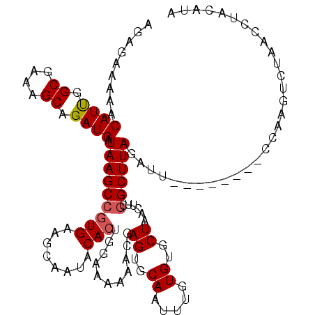 secondary structure