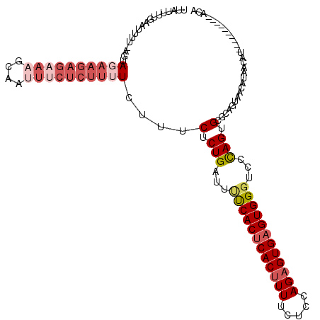 secondary structure
