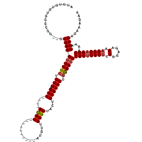 secondary structure