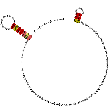 secondary structure