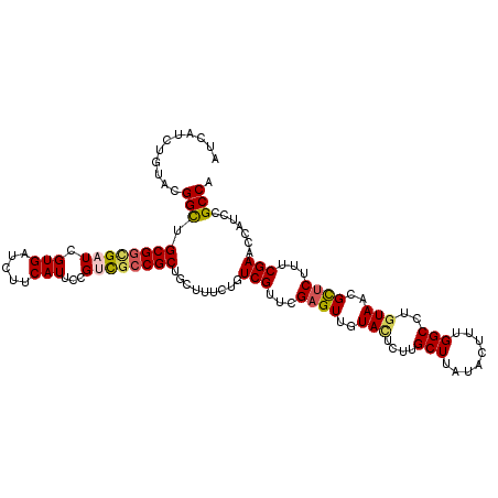 secondary structure