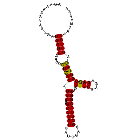 secondary structure