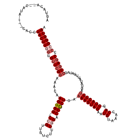 secondary structure