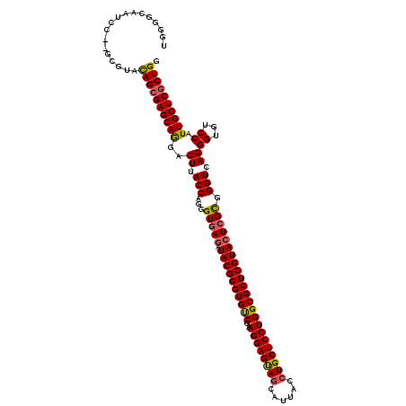 secondary structure