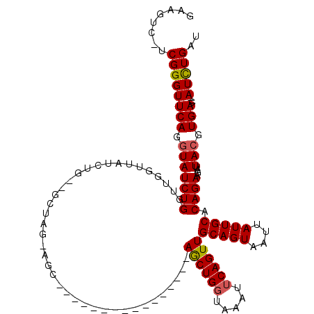 secondary structure