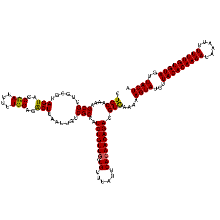 secondary structure