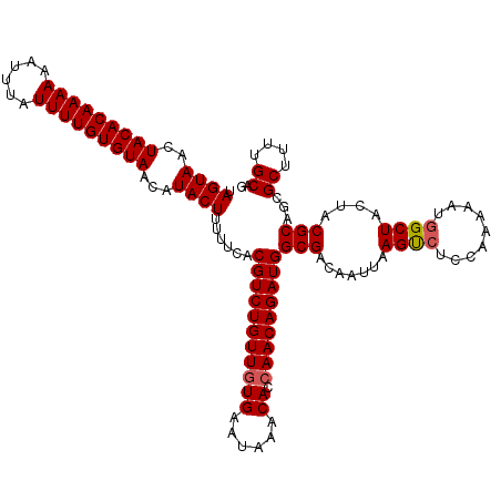 secondary structure