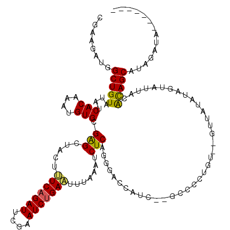 secondary structure