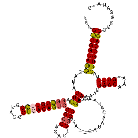 secondary structure