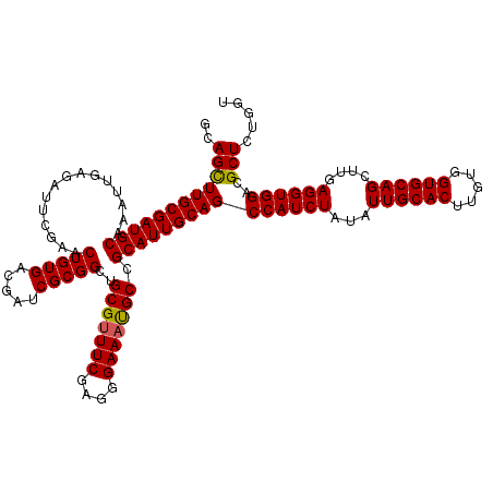 secondary structure