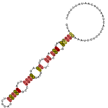 secondary structure