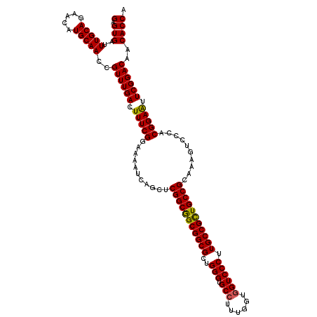 secondary structure