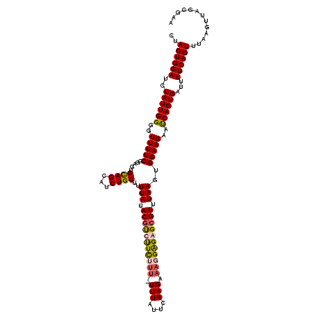 secondary structure
