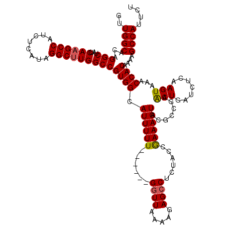 secondary structure