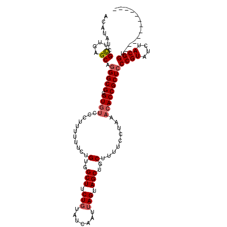 secondary structure
