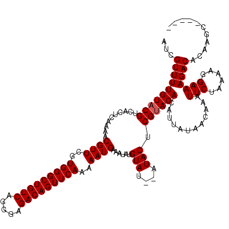 secondary structure