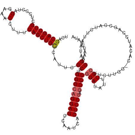 secondary structure