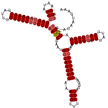 secondary structure