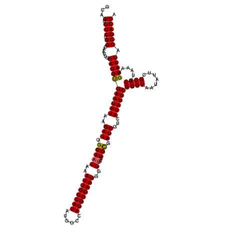 secondary structure