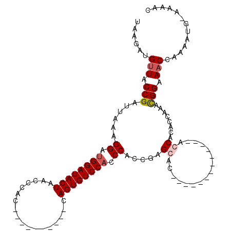 secondary structure