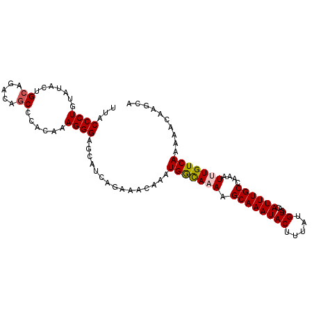 secondary structure