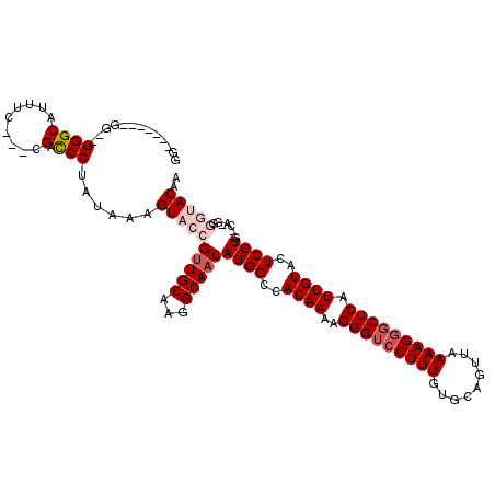 secondary structure