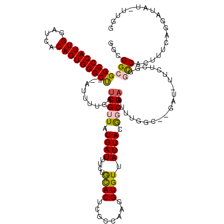 secondary structure