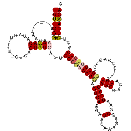 secondary structure