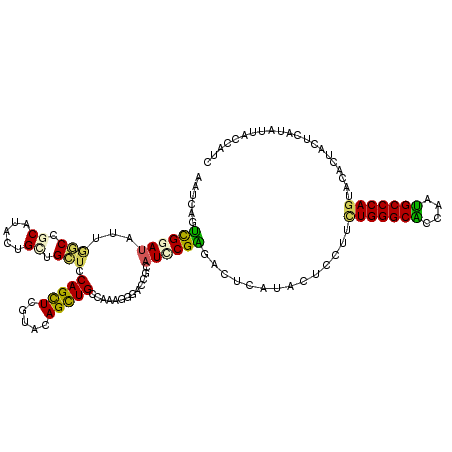 secondary structure