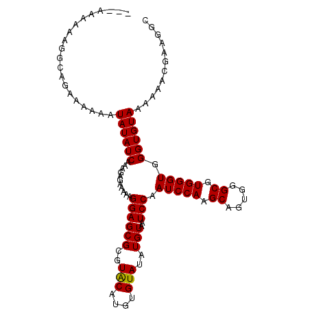 secondary structure