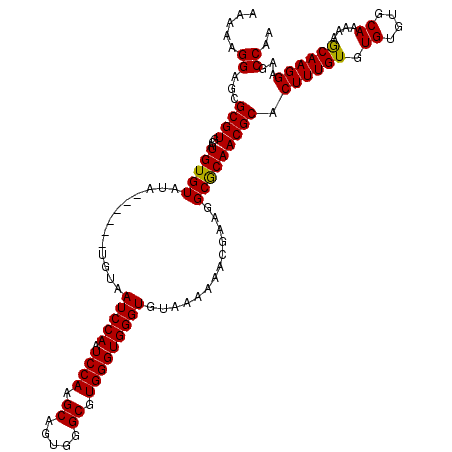 secondary structure