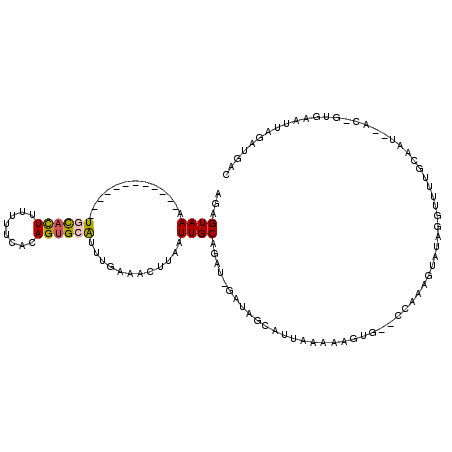 secondary structure