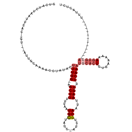 secondary structure