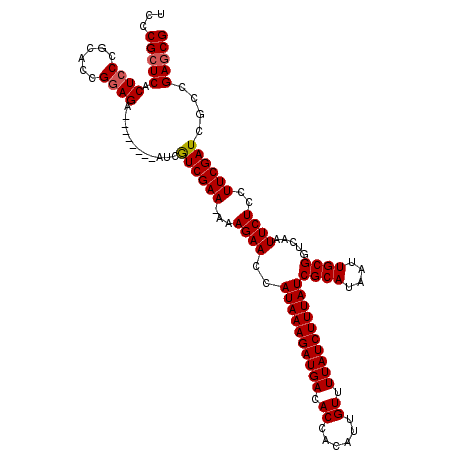 secondary structure