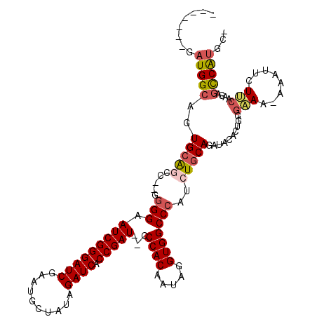 secondary structure