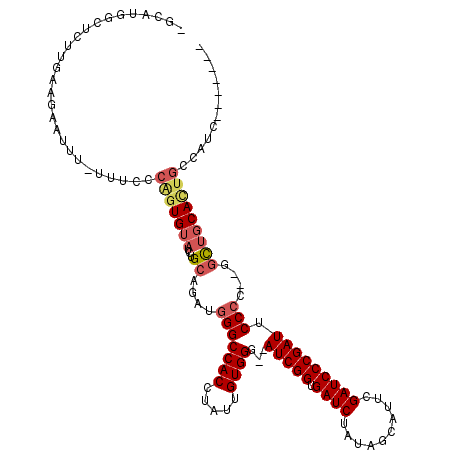 secondary structure