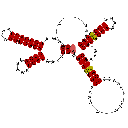 secondary structure